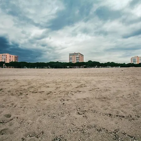 Les Pieds Dans L'eau Sur Apartment Argeles-sur-Mer