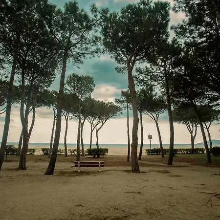 Les Pieds Dans L'eau Sur *