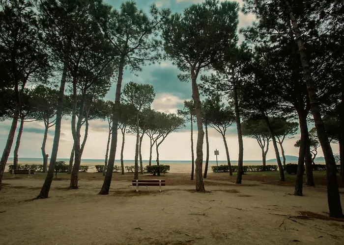 Les Pieds Dans L'eau Sur *